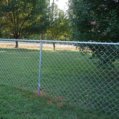 Hot Dipped Galvanized Chain Link Fence PVC Coated 50ft Length