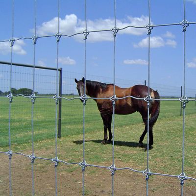 Het Gebiedsomheining Galvanized Stainless Steel van de geitlandbouwbedrijf Vaste Knoop