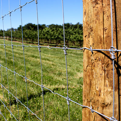 Vaste Ondergedompeld Heet met grote trekspanning van Grassland Deer Farm van de Knoopomheining Gegalvaniseerd