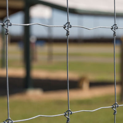De hete Onderdompeling galvaniseerde Vaste Omheining van de Knoopdraad 8ft het Netwerk van de Hertendraad