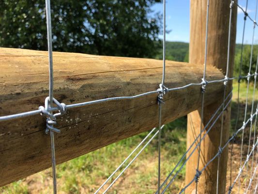 Herten Vaste Knoopomheining 1.2m Draad Mesh Field Fence van het Scharnier de Gezamenlijke Vee